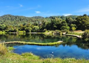 Anatoki Salmon – Catch, Eat, Repeat!
Golden Bay, The Station House Motel