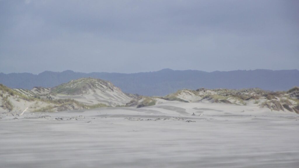 Gray sand dunes stretch across Farewell Spit with distant mountains beneath a cloudy sky.