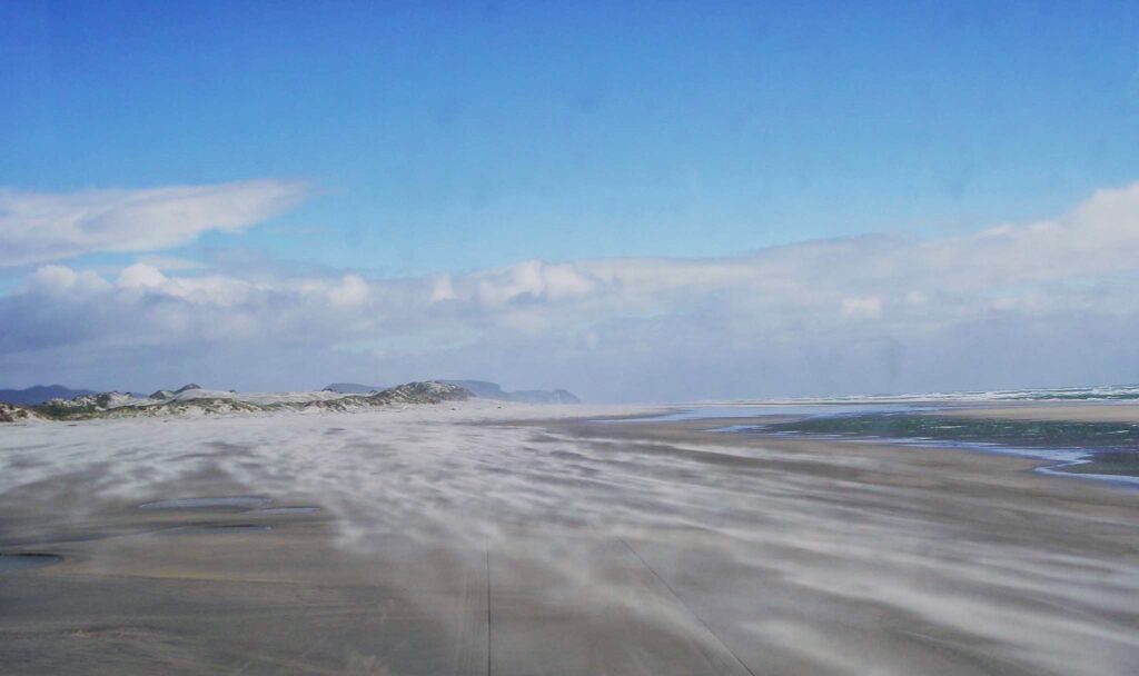 Windblown sand streaks across the wide beach of Farewell Spit under a bright blue sky.