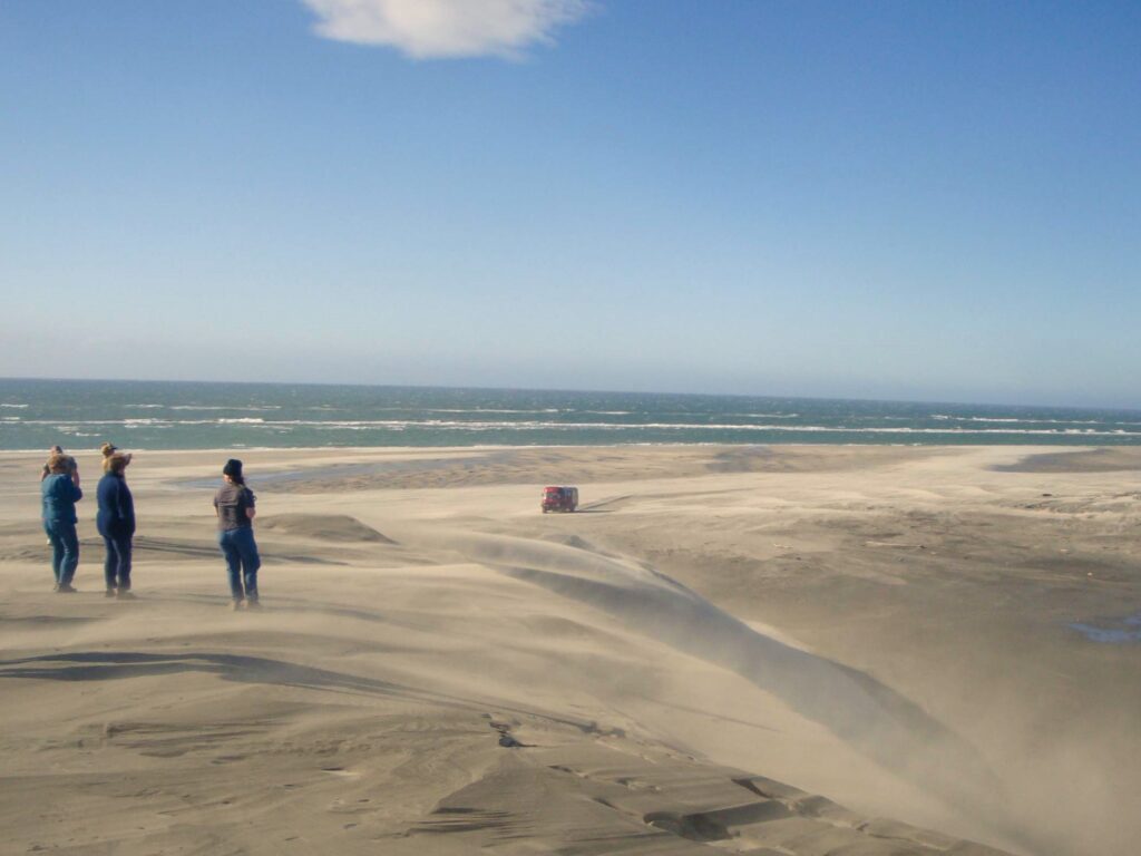 Eco tours Farewell Spit