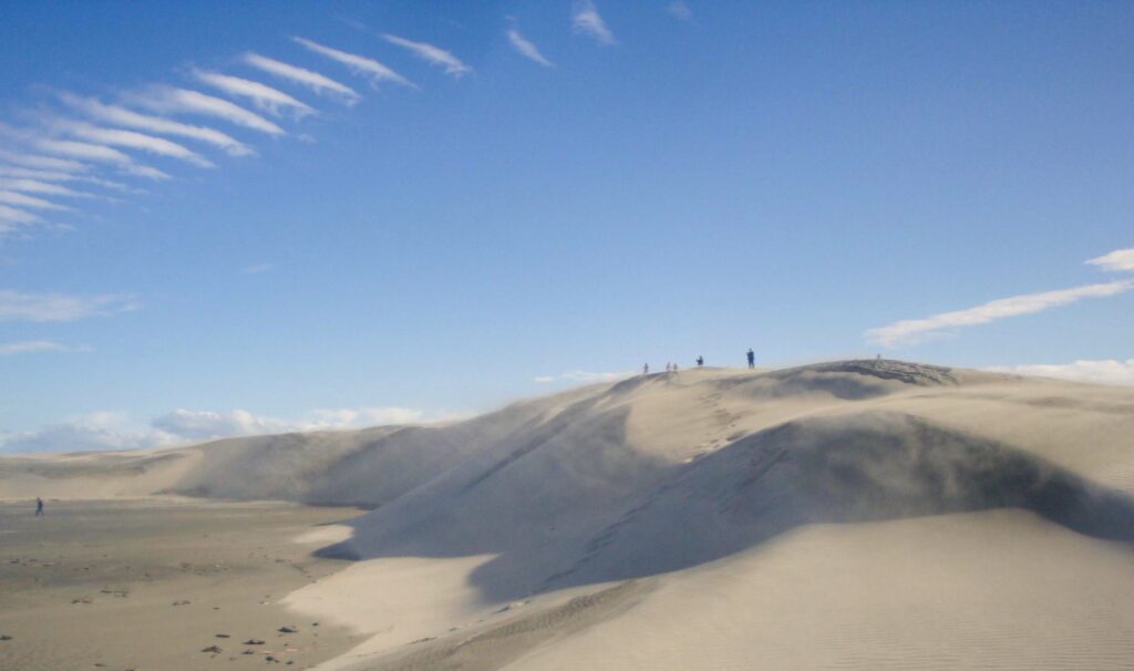 People walk on top of large sand dunes at Farewell Spit under a clear blue sky.