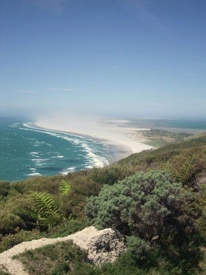 Aerial view of a long sandy beach with waves crashing along the shoreline, bordered by green coastal vegetation.