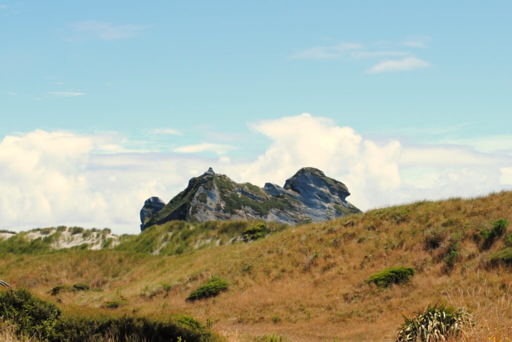 Fossil Point New Zealand