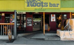 Roots Bar – Beats, beers, burgers, and live bands in the heart of Tākaka.