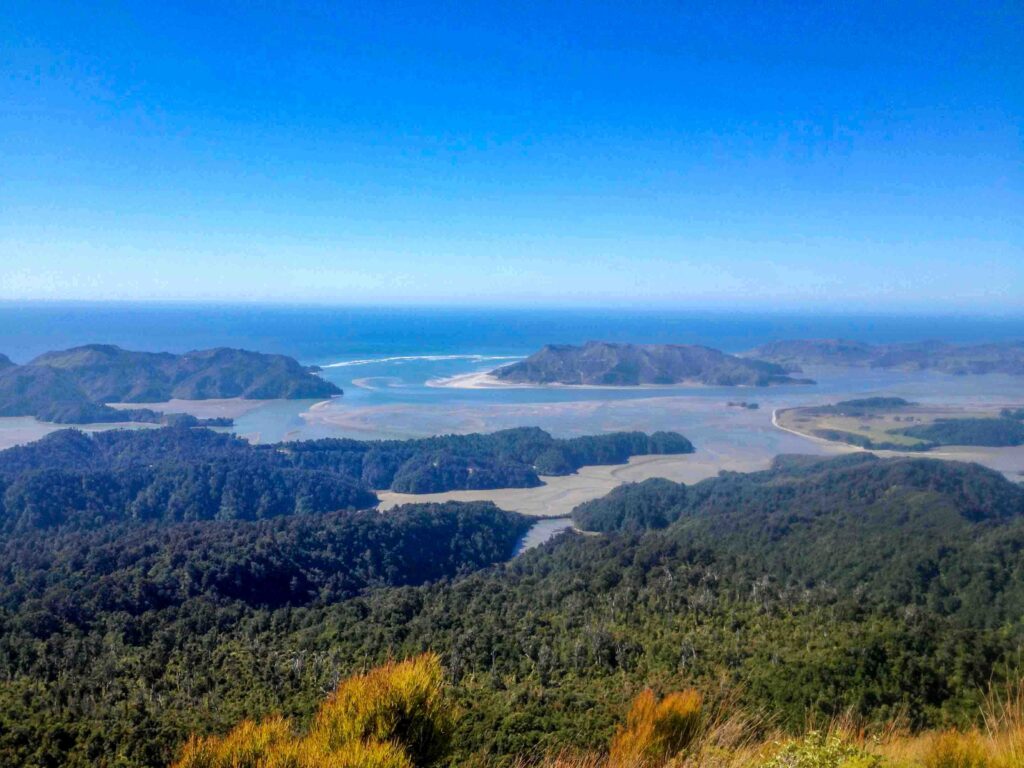 Sweeping coastal view of lush green forest meeting winding estuaries and the deep blue sea under a clear sky.