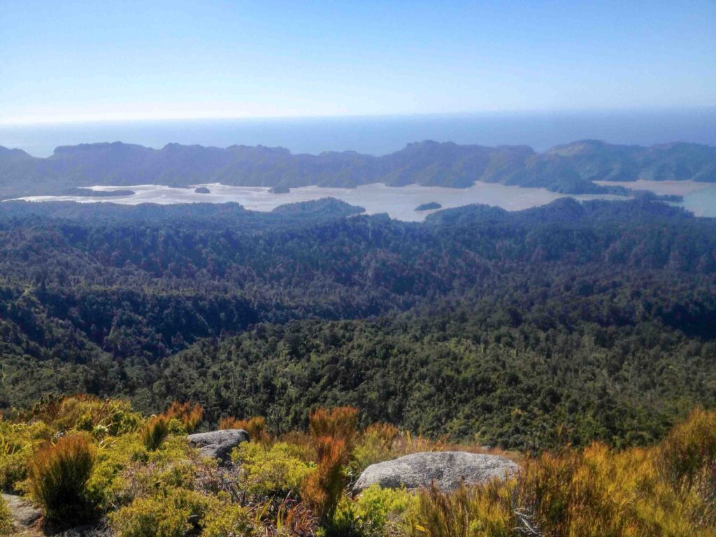 Golden Bay Views