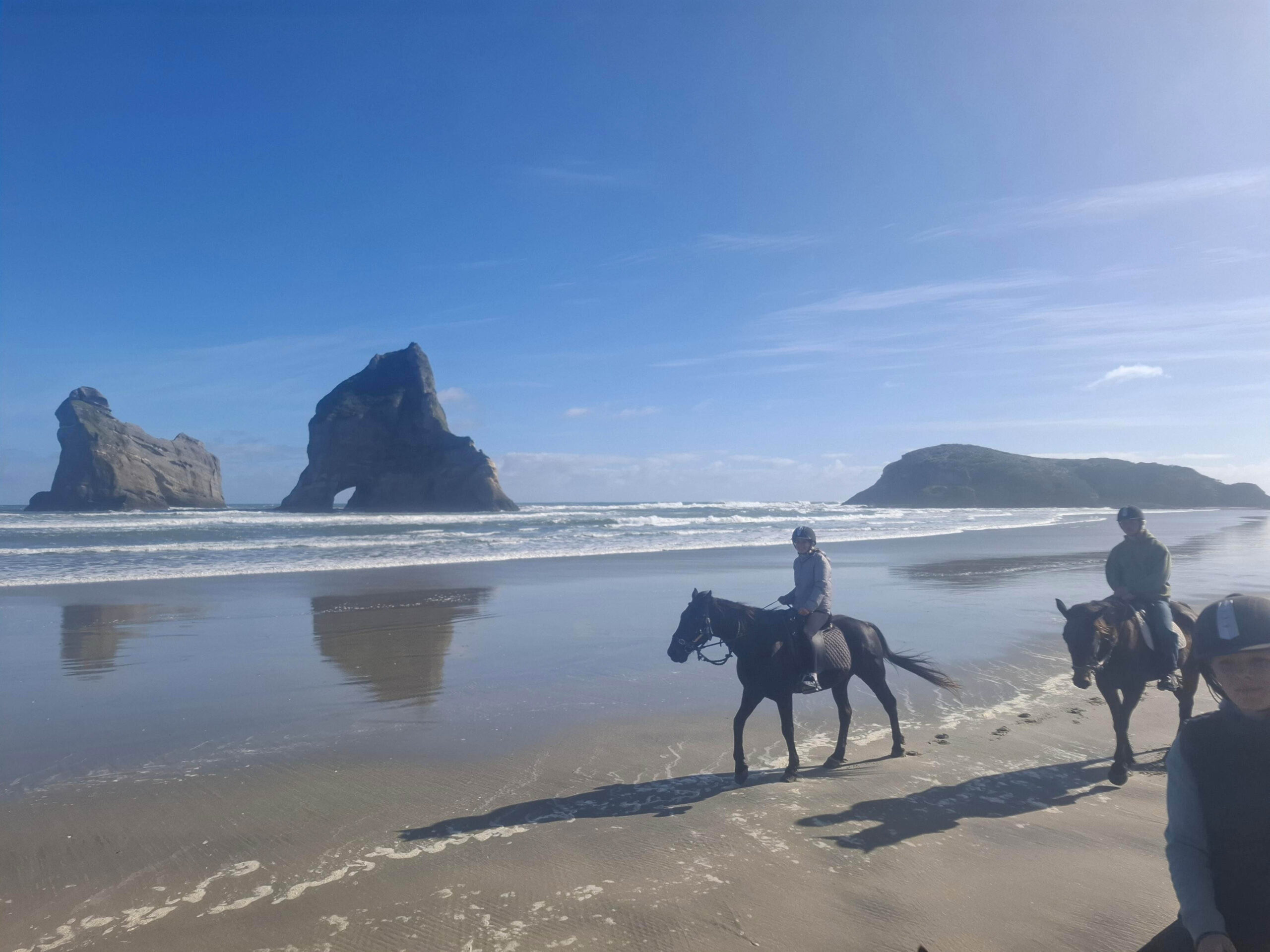 Riders on horseback trekking along Wharariki Beach under a clear blue sky with Archway Islands in the background, near Station House Motel in Golden Bay, New Zealand.