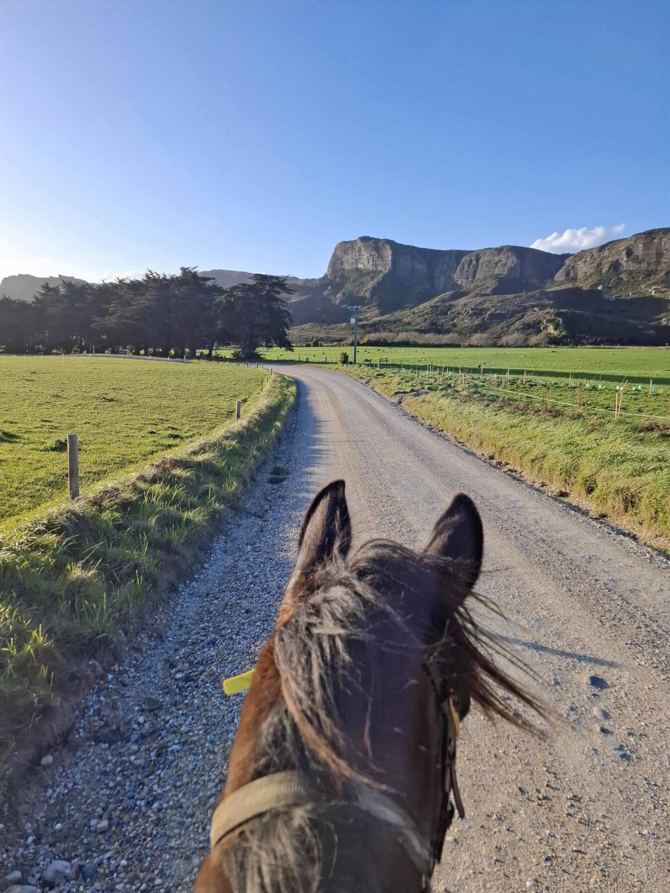 View from horseback along a gravel farm road with green pastures and rugged cliffs in the background, near Wharariki Beach and Station House Motel in Golden Bay, New Zealand.